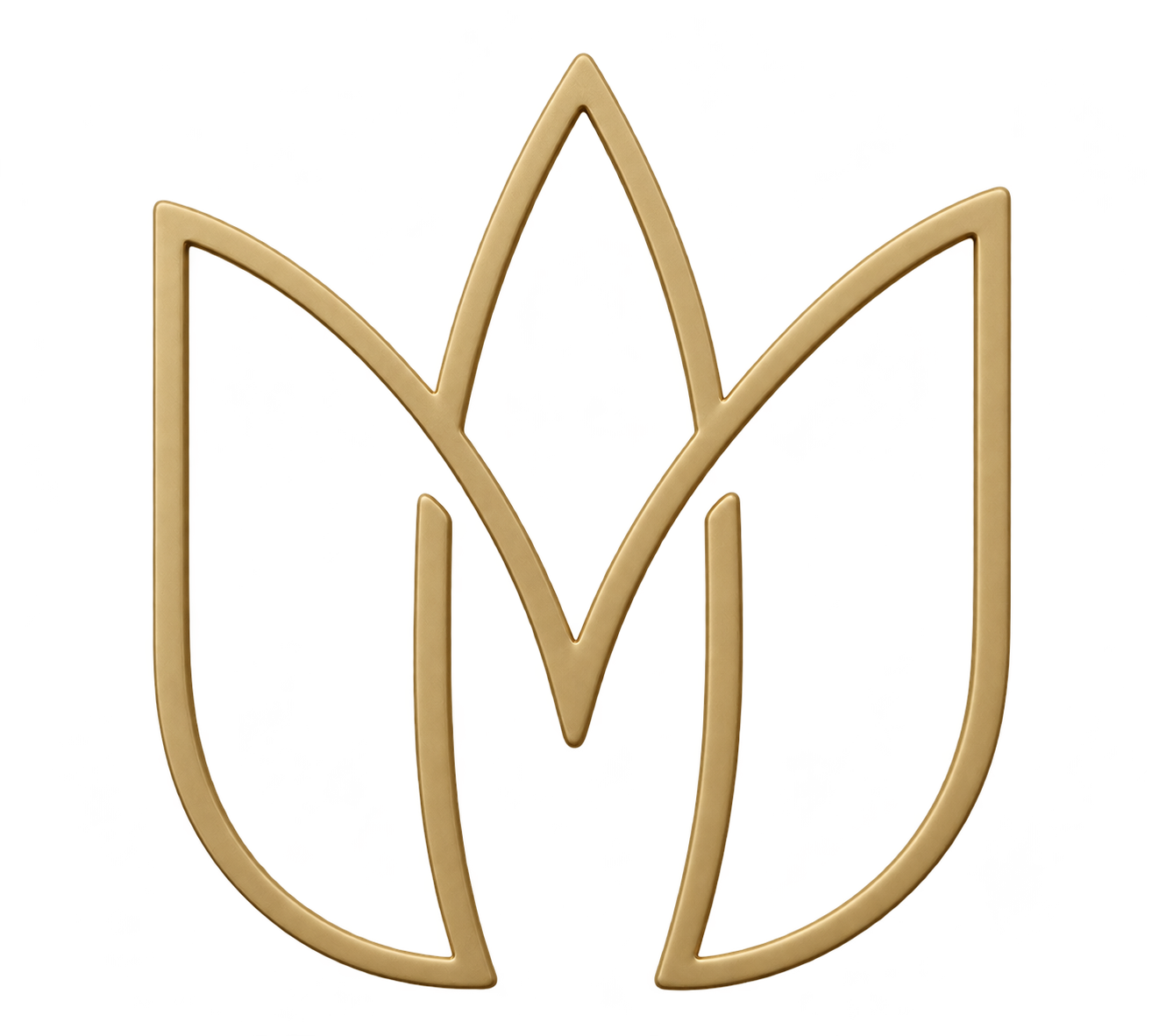 Logo Marcela Silva